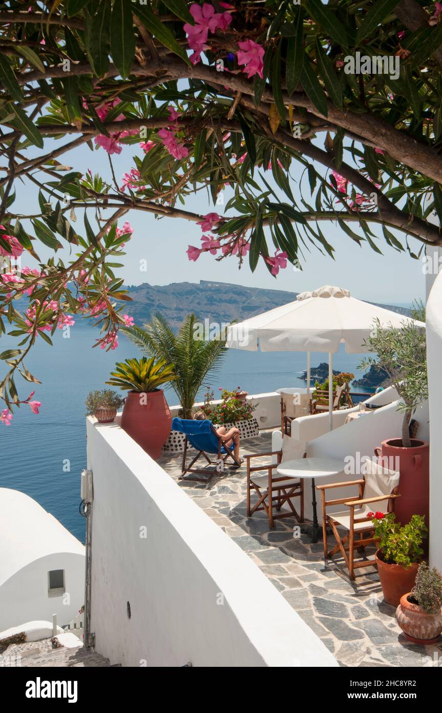 Terrasse mit Blumen und Pflanzen und Blick auf die Caldera, im Dorf Oia in Griechenland. Vertikaler Bildschirm. Stockfoto