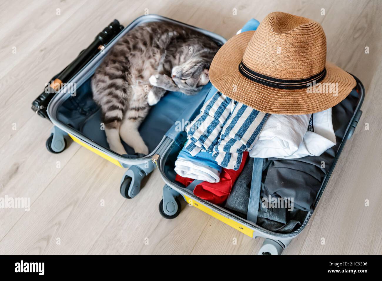 Packen des Gepäcks für den Urlaub. Die Katze schlief im Kofferraum ein und ist bereit für eine Reise Stockfoto