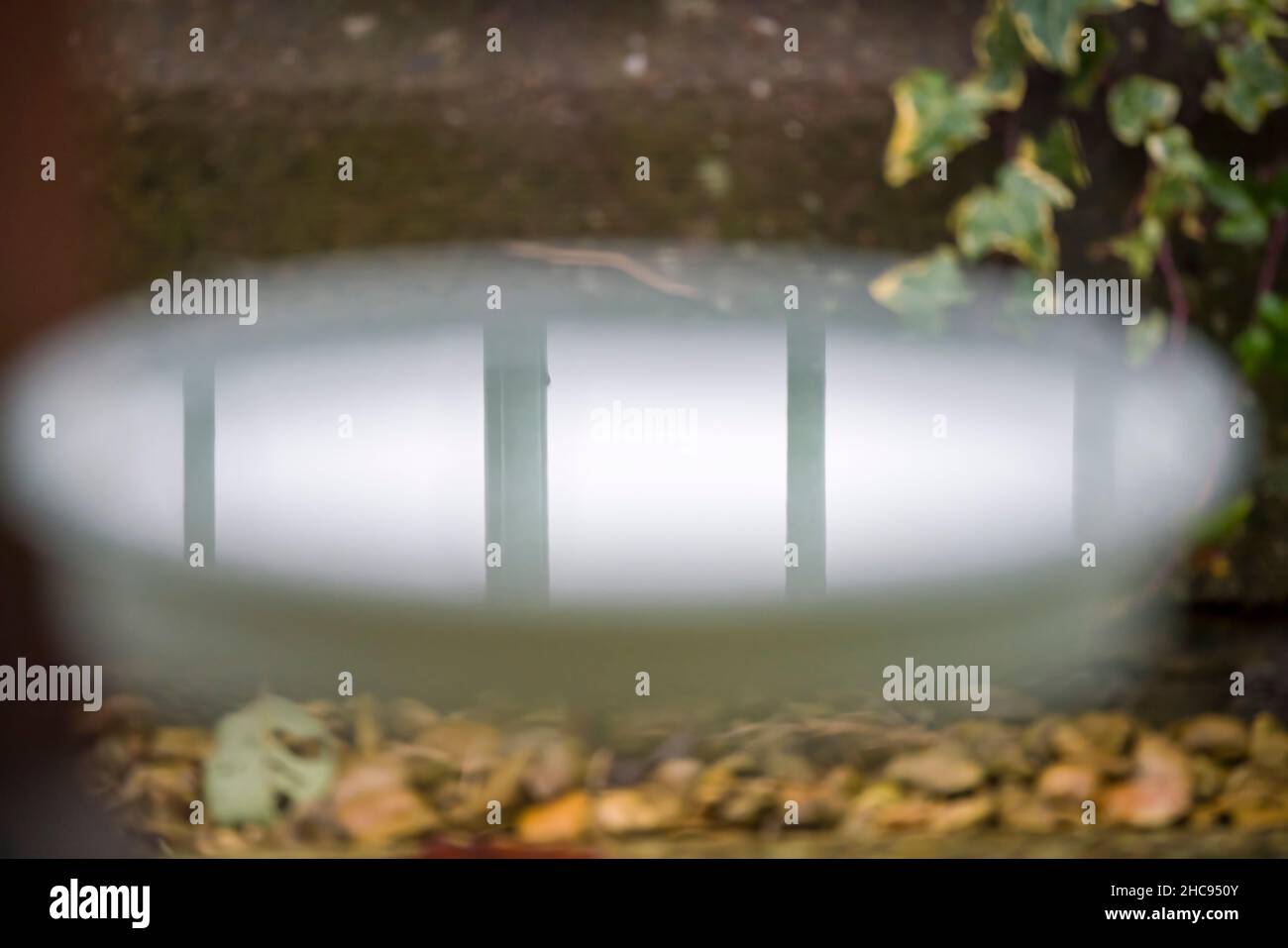 Spiegelung in stillem Wasser von aufrechten, hellen, türkisfarbenen Metallgeländerpfosten, die in einer hängenden Wasserschale unter einer Vogelfütterungsstation gesehen werden Stockfoto