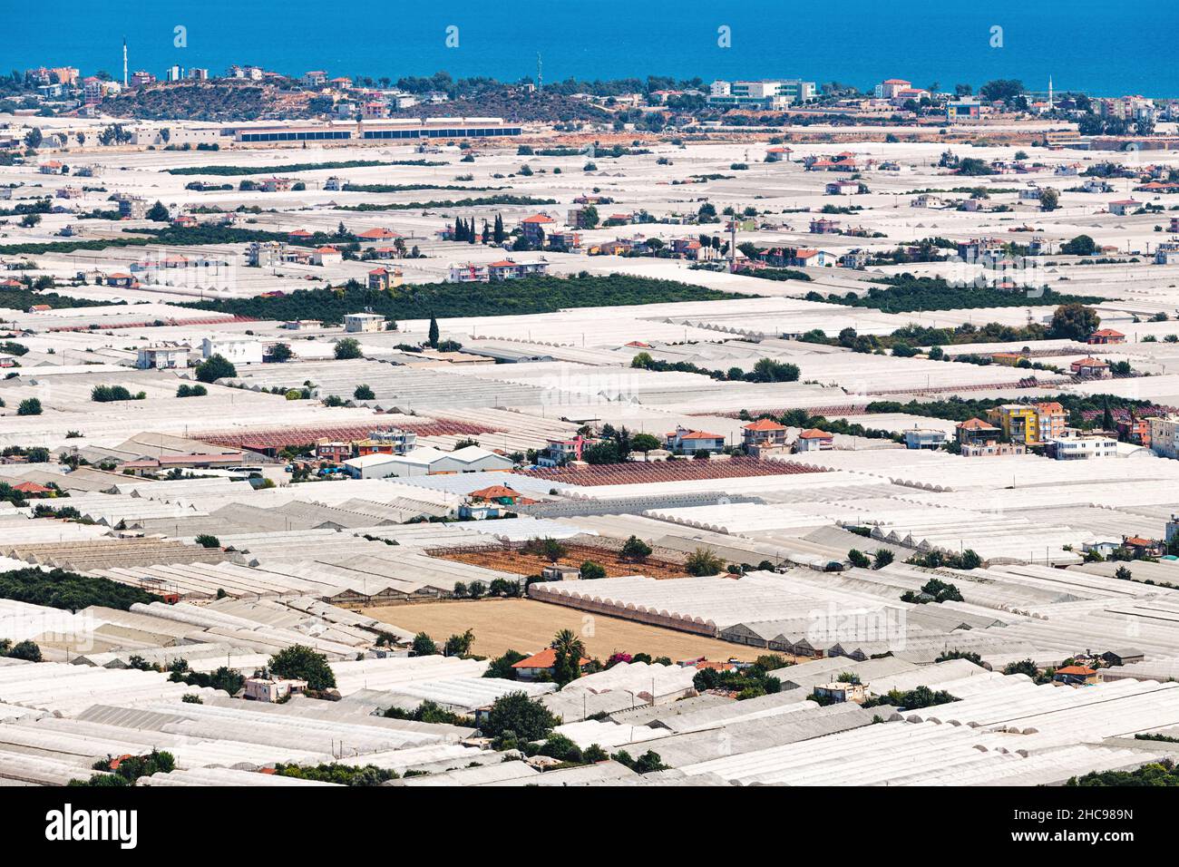 Luftaufnahme von vielen Gewächshäusern, die sich über das Resort und die landwirtschaftliche Stadt Demre in der Türkei erstrecken. Landwirtschaft und Produktion von Gurken, t Stockfoto