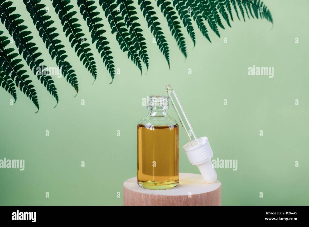 Serumflasche auf Holzständer auf grünem Hintergrund mit Farnblatt. Naturkosmetik für Gesicht, Mock up. Nahaufnahme, Kopierbereich. Stockfoto