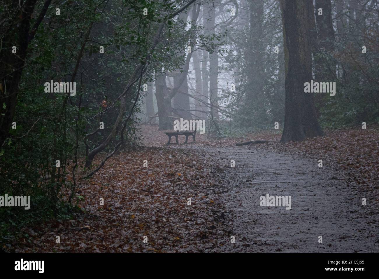 Nebel in London am zweiten Weihnachtsfeiertag 2021 Stockfoto