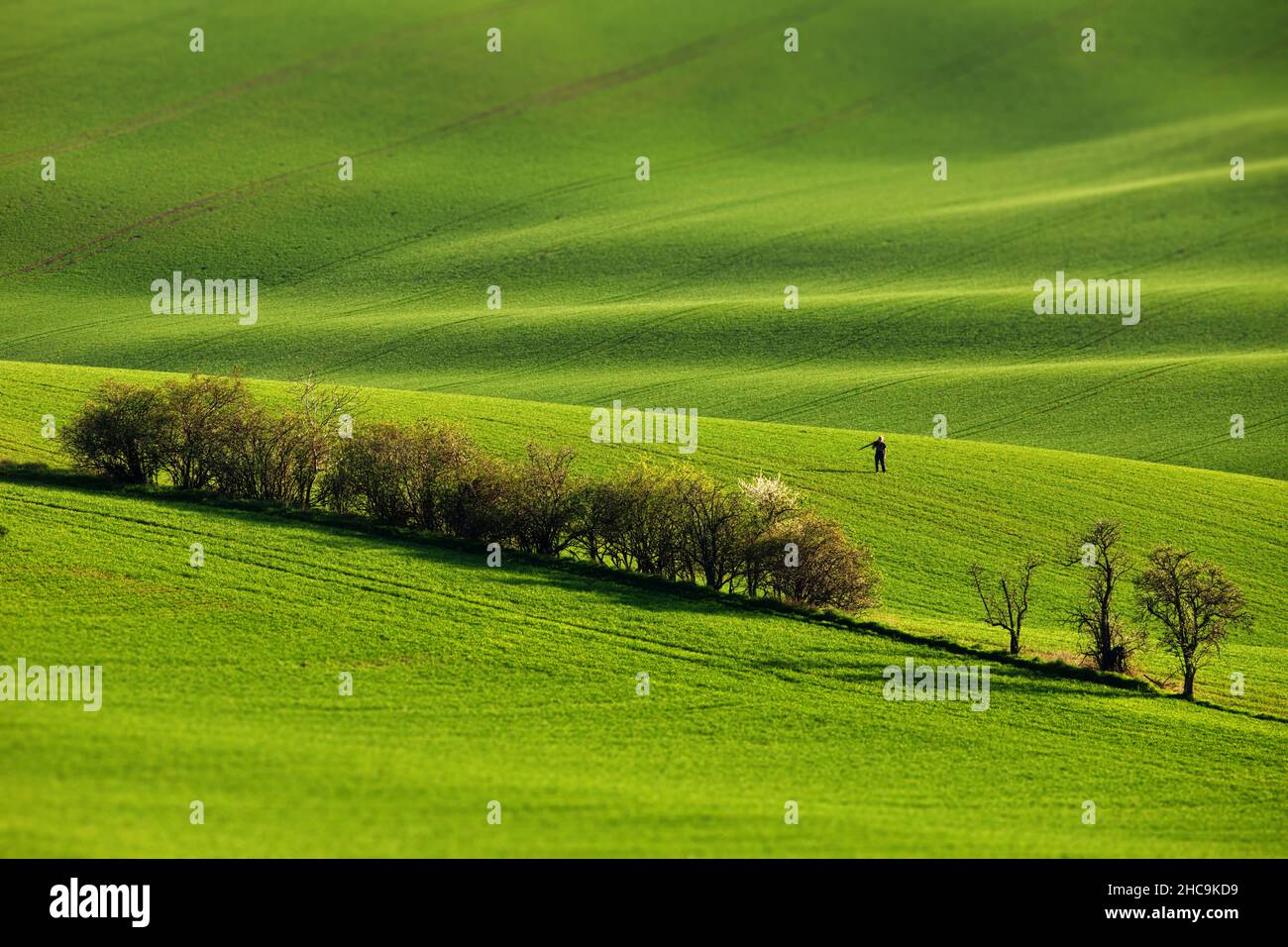 Schöne grüne Hügel in Mähren, der Tschechischen Republik bei Tageslicht Stockfoto