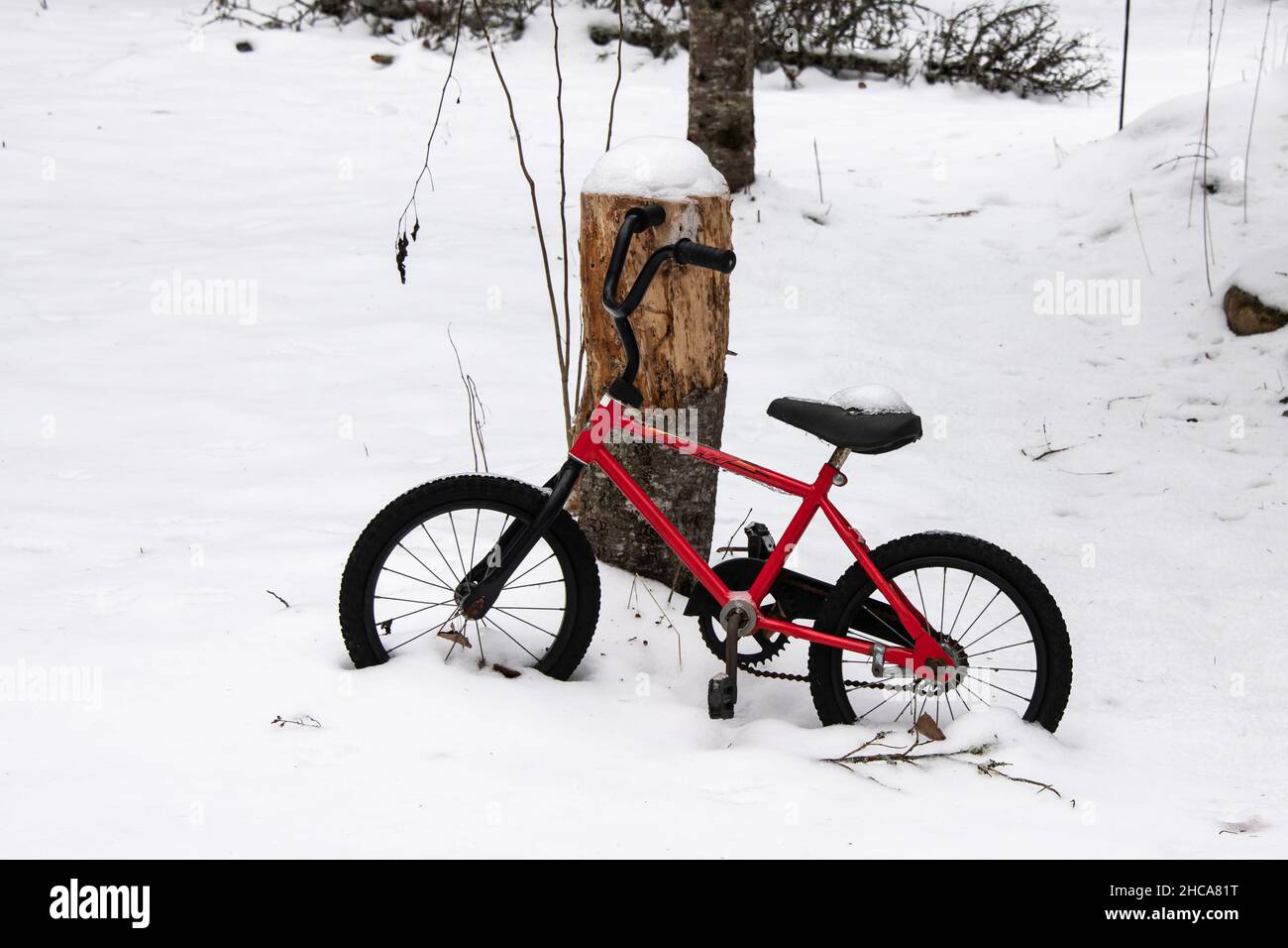 Ein vernachlässigtes und vergessenes rotes Fahrrad in Kindergröße, das sich im Schnee an einem Stumpf in Speculator, NY, USA, lehnt Stockfoto