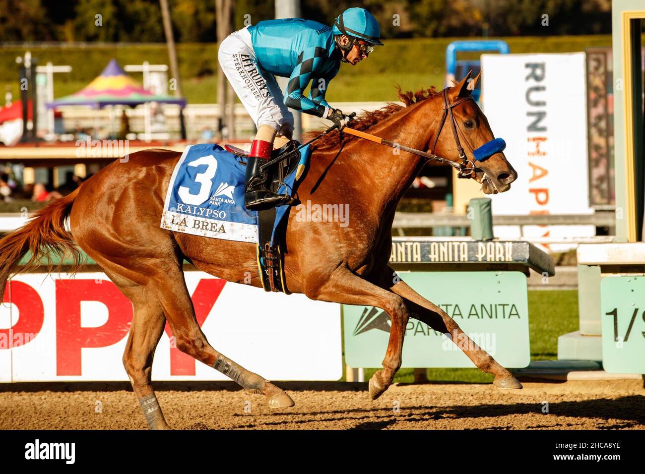 Arcardia, Kalifornien, USA. 26th Dez 2021. 26. Dezember 2021: Calypso #3, geritten von Jockey John Velazquez, gewinnt am Eröffnungstag im Santa Anita Park in Arcadia, Kalifornien, am 26th. Dezember 2021 die La Brea (Klasse 1) für drei Jahre alte Stutfohlen. Casey Phillips/Eclipse Sportswire/CSM/Alamy Live News Stockfoto