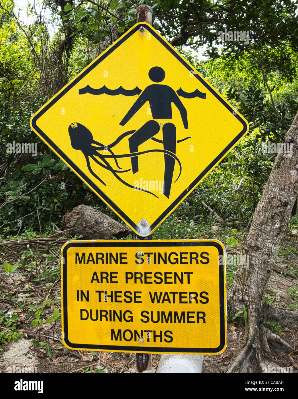 Warnschild „Danger Marine Stingers“ in Port Douglas, QLD, Australien Stockfoto