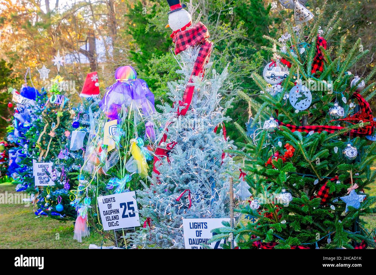 Geschmückte weihnachtsbäume Fotos und Bildmaterial in hoher Auflösung