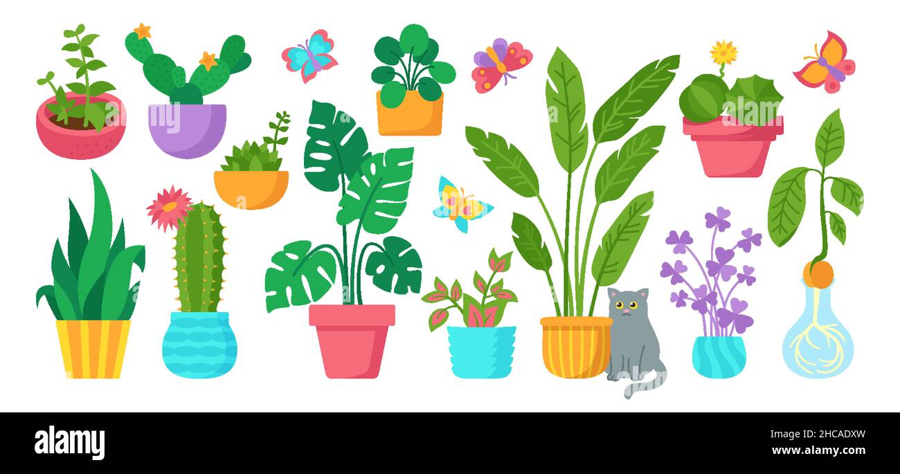 Haus Pflanze im Topf, dekorative Cartoon-Set. Exotische Zimmerpflanzen Blumentopf für den Innenbereich. Botanisches Haus innen blühende Pflanzen, Blume, Kaktus, Monstera, Aloe, Keramik. Isolierter flacher Vektor Stock Vektor