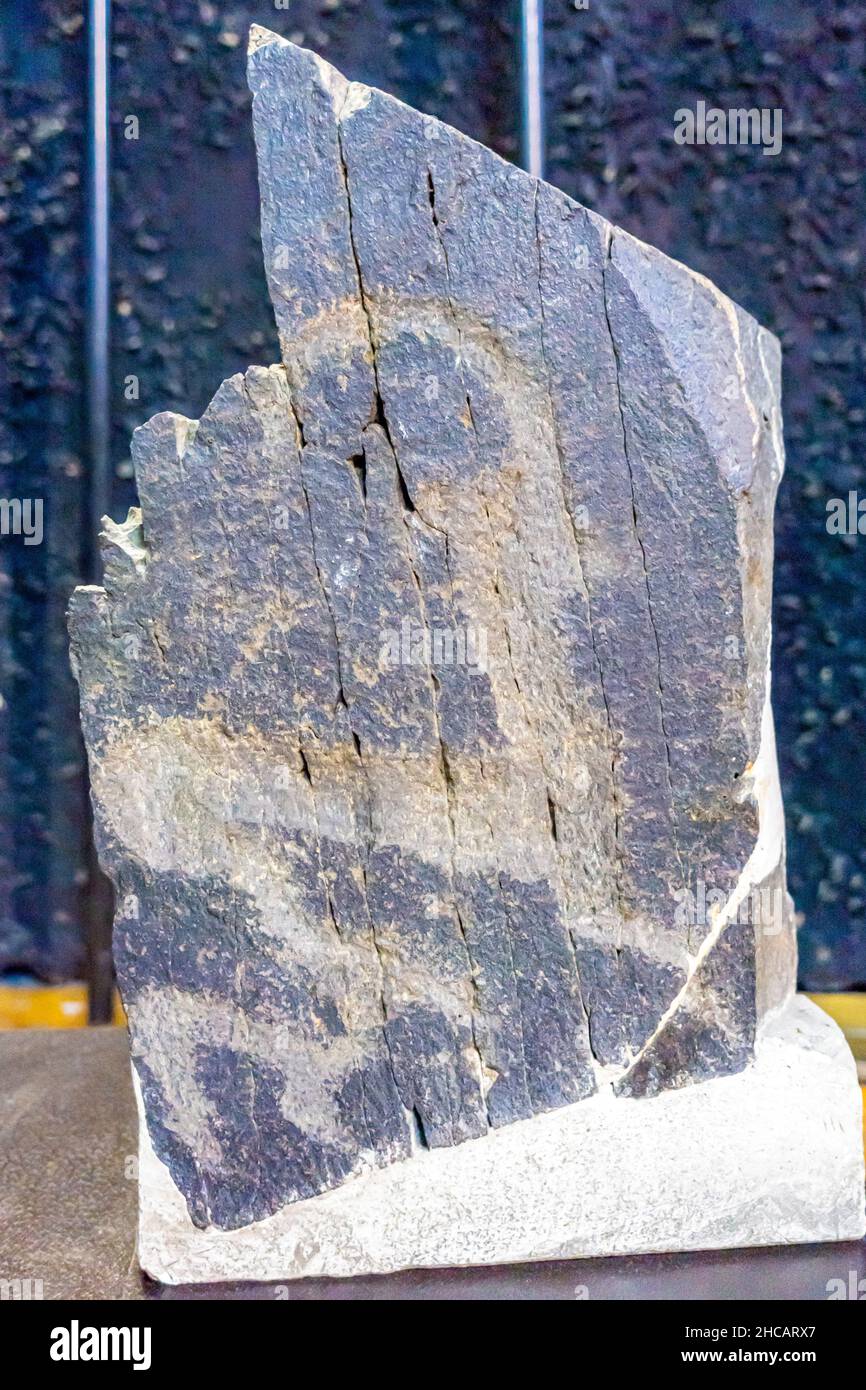 Petroglyphe, die eine Bergziege darstellt, frühe Eisenzeit, Stein, Schneiden, Zhetysu, Zentralasien. Ausgestellt im Zentralen Staatlichen Museum von Kasachstan Stockfoto