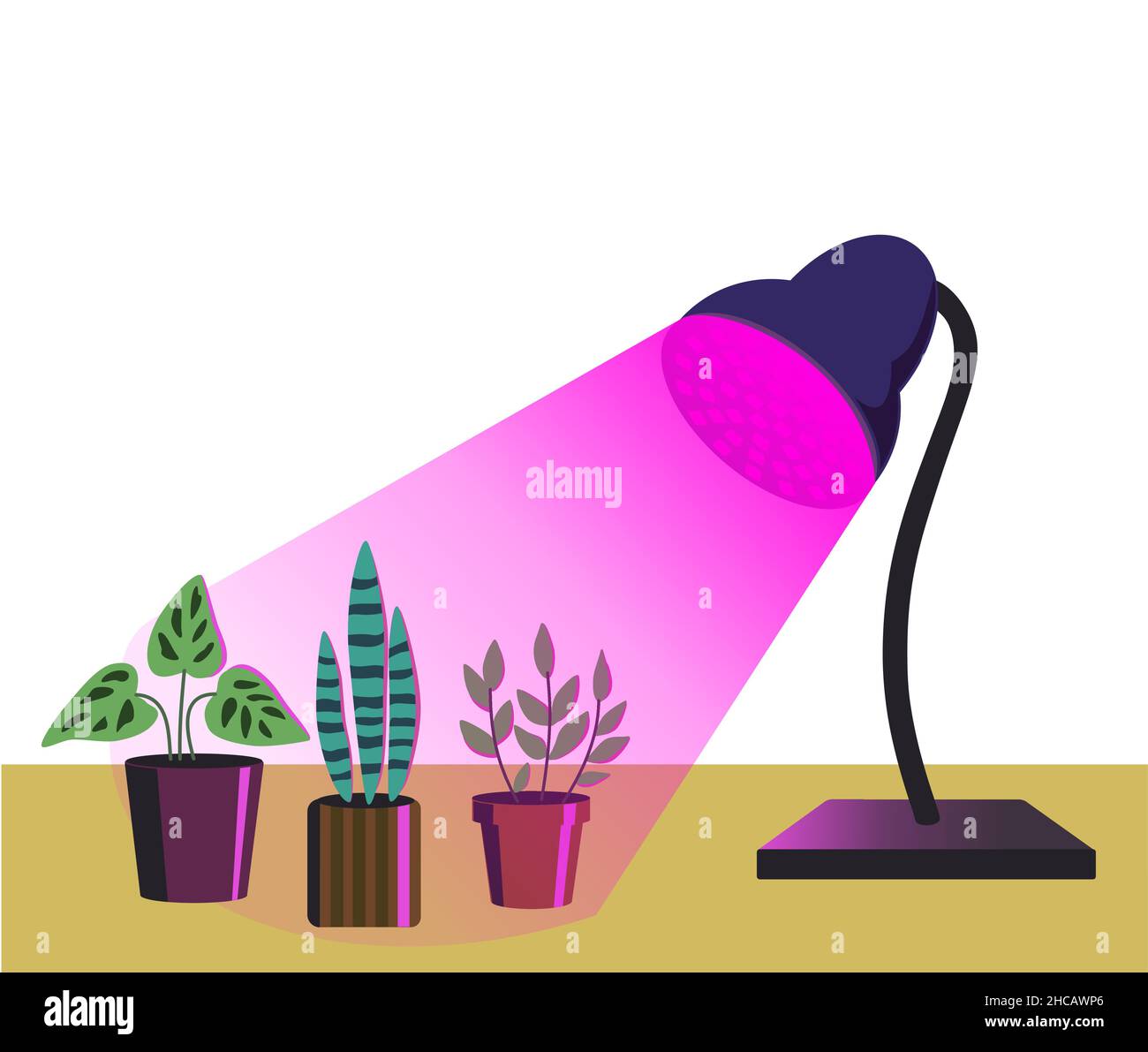 Haus Gartenanlagen unter lila Licht der Phyto-Lampe isoliert auf weißem Hintergrund. Vektorgrafik im einfachen Cartoon-Stil. Stock Vektor