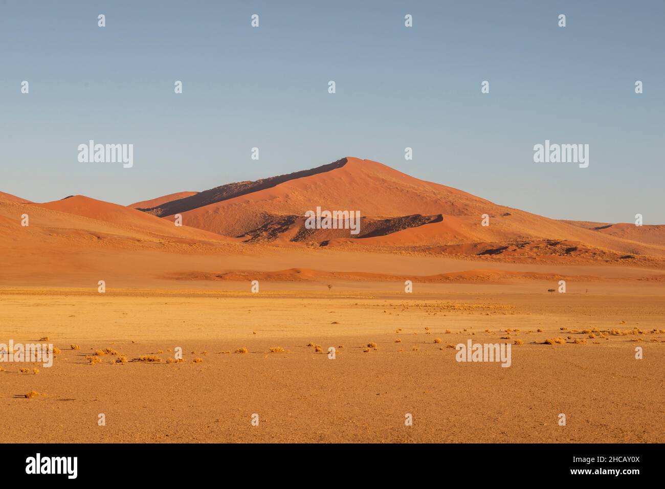 Wüstenlandschaft mit roten Sanddünen in Namibia Stockfoto