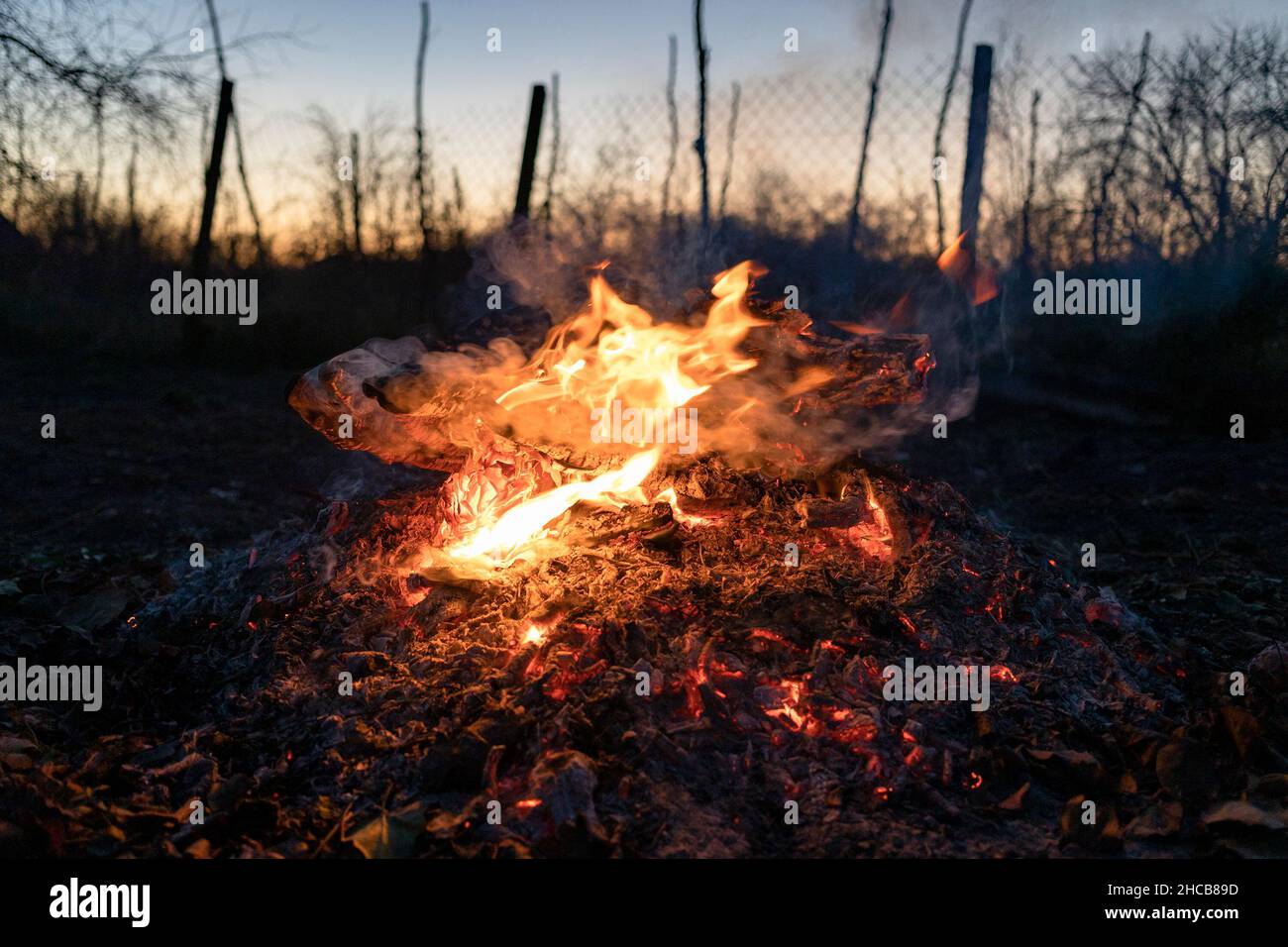 In der Abenddämmerung schwelt im Garten auf einem Haufen heißer Asche Feuer Stockfoto