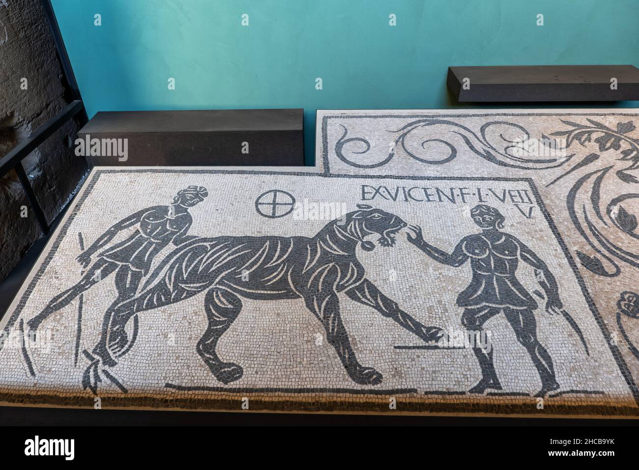 Antikes Mosaik mit Jagdszene aus dem 2nd. Jahrhundert, Ausstellung im Kolosseum, Rom, Italien Stockfoto