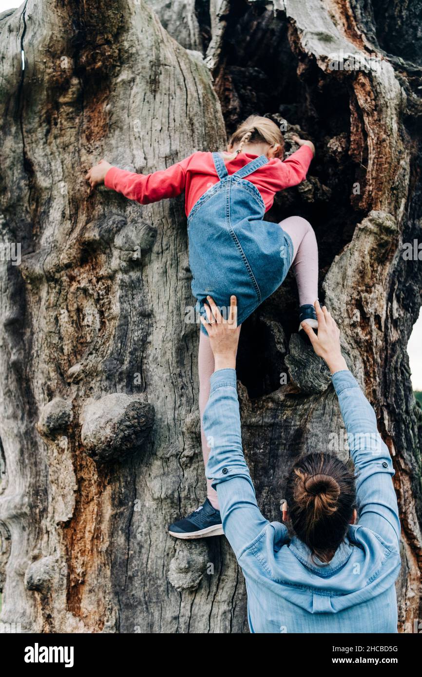 Mutter hilft ihrer Tochter, im Park auf den Baum zu klettern Stockfoto