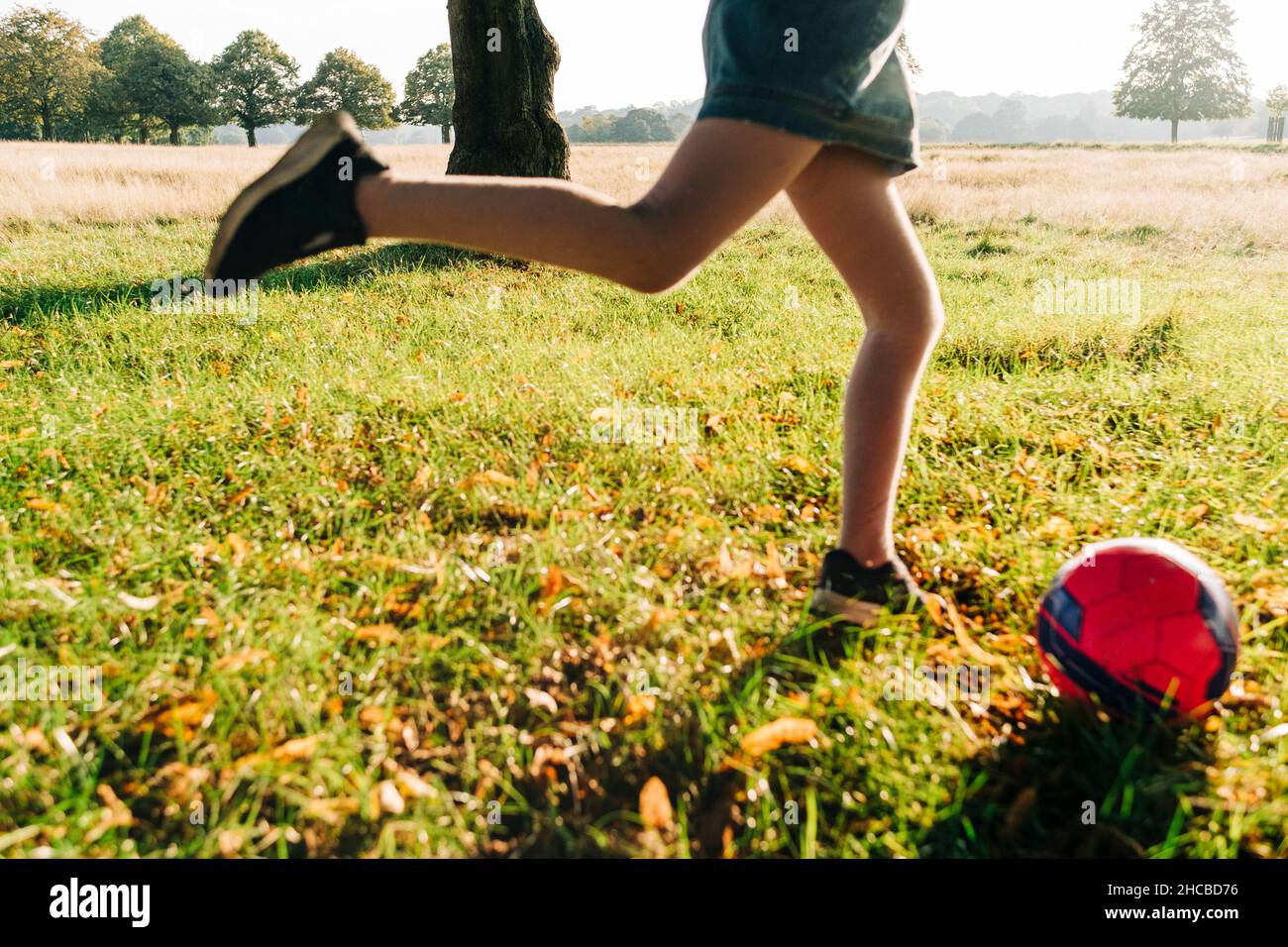 Mädchen spielt mit Ball im Park an sonnigen Tag Stockfoto