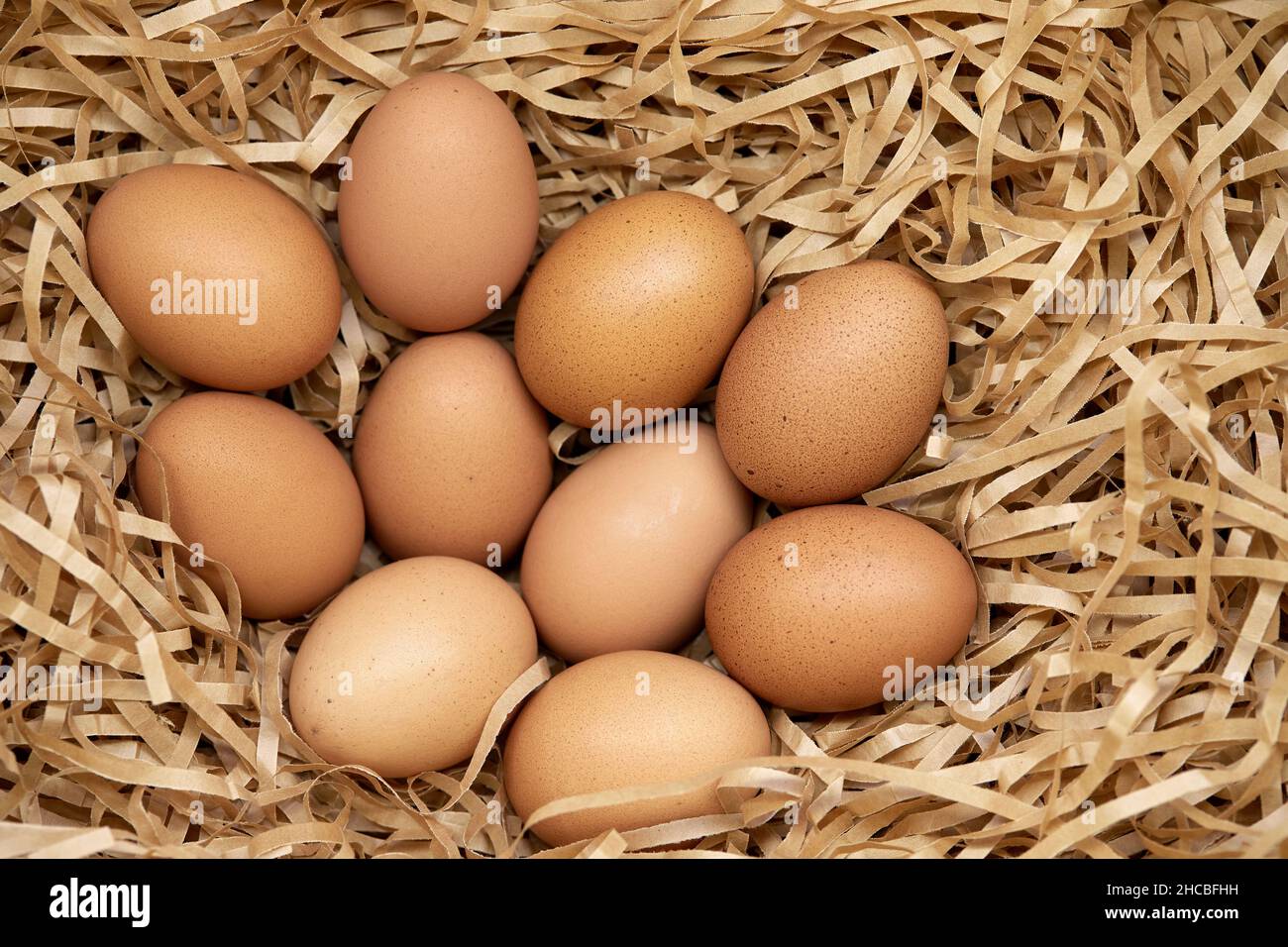 Frische braune Hühnereier im Heuschnest Stockfoto