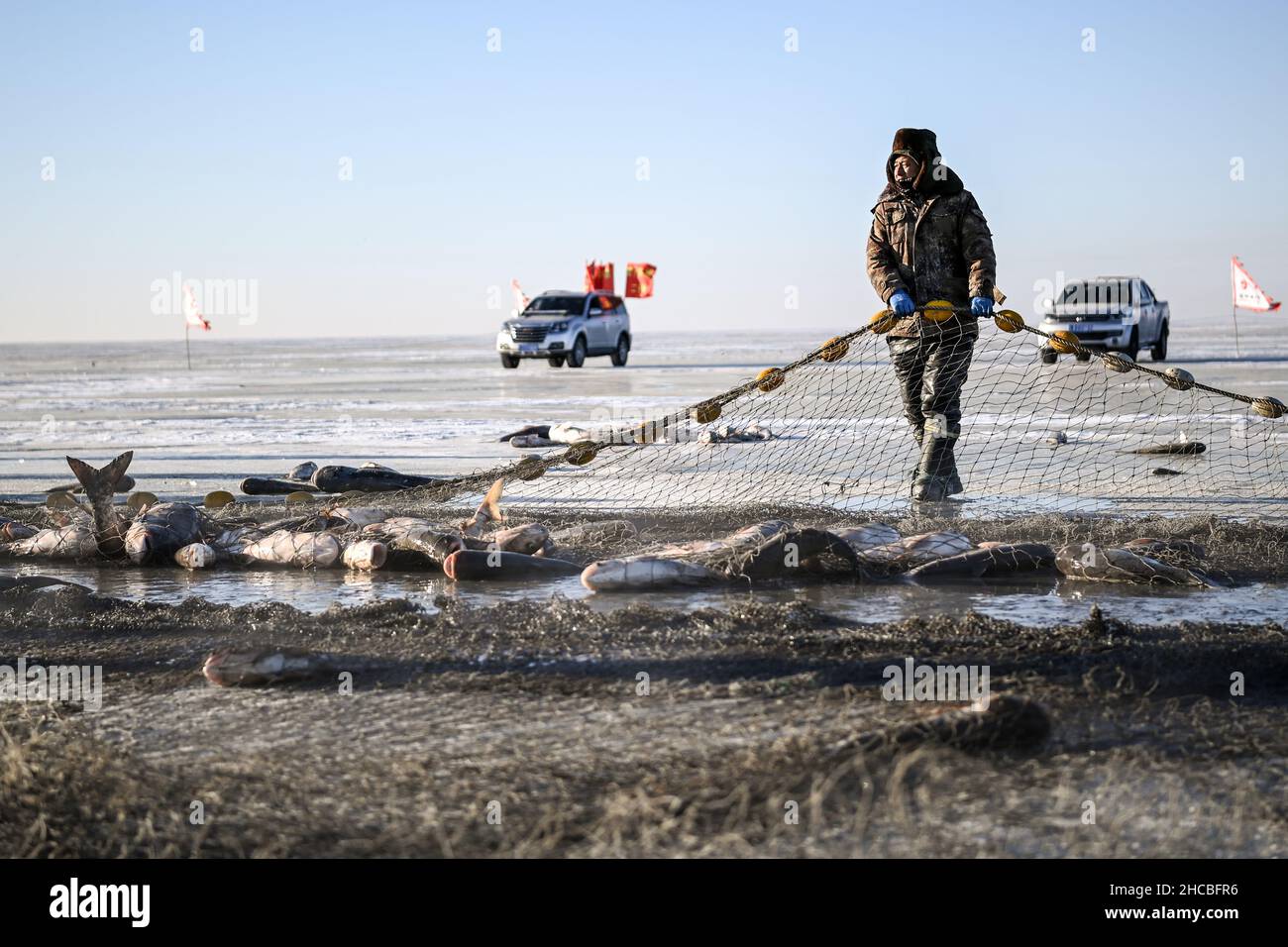 Songyuan, Chinas Provinz Jilin. 26th Dez 2021. Ein Fischer erntet Fisch auf dem Chagan-See in Songyuan, nordöstlich der Provinz Jilin, 26. Dezember 2021. Jahrhundertelang haben Fischer und Frauen, die am See leben, die Tradition des Eisfischens am Leben erhalten - man bohrt Löcher durch dickes Eis und legt Netze unter, um Fische zu fangen. Die Technik wurde als eine Form des immateriellen Kulturerbes auf nationaler Ebene aufgeführt. Quelle: Yan Linyun/Xinhua/Alamy Live News Stockfoto