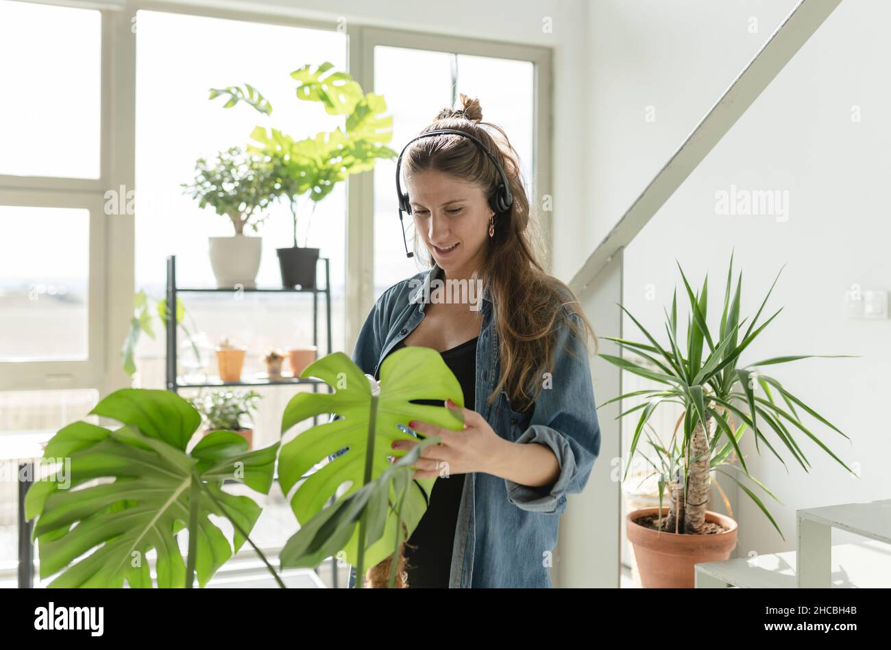 Lächelnde, schwanger Frau, die zu Hause ein digitales Tablet mit Hund hält Stockfoto