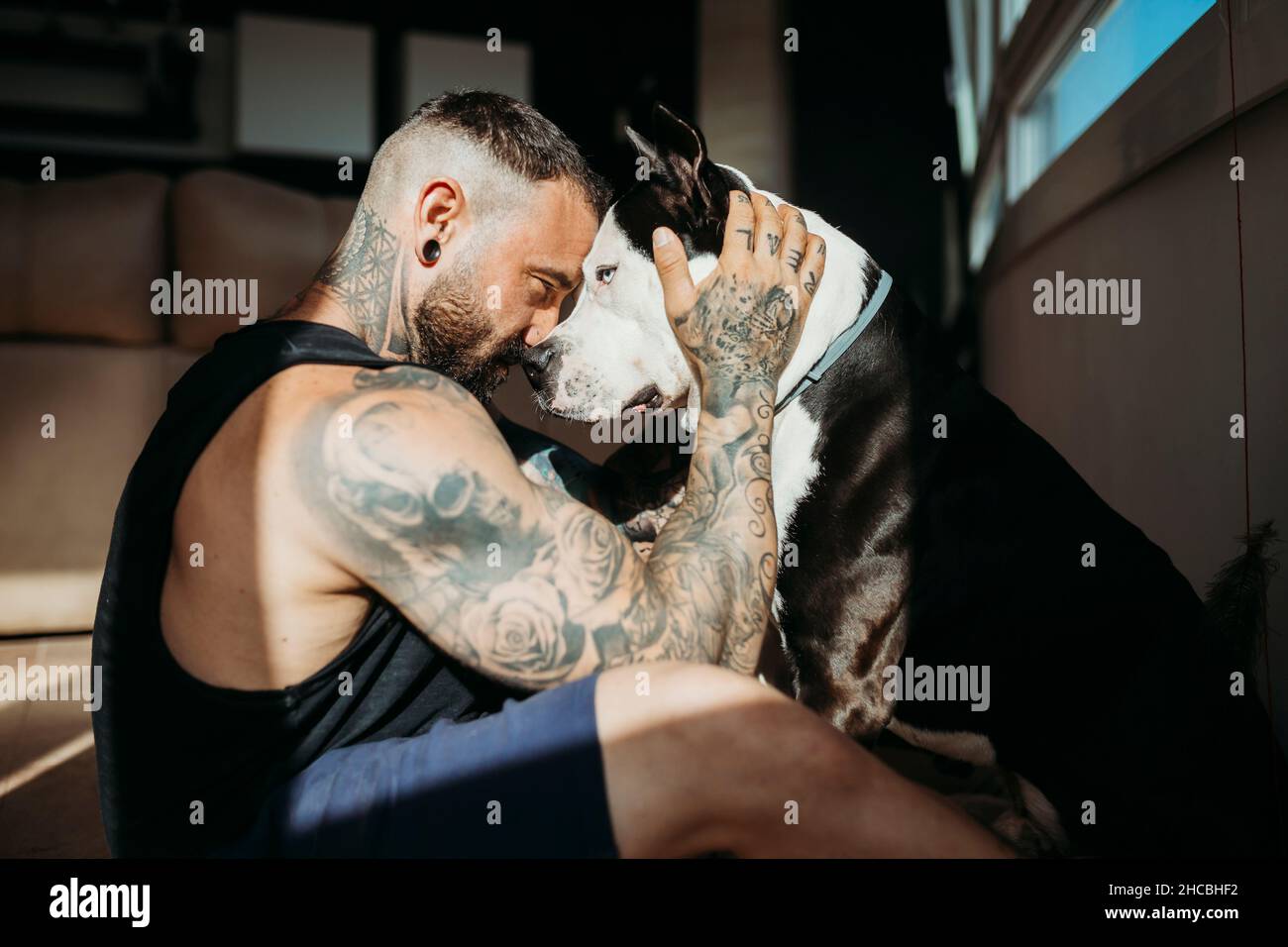 Mann, der zu Hause von Angesicht zu Angesicht mit Hund sitzt Stockfoto