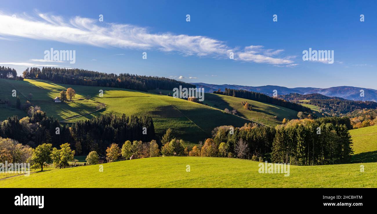 Panoramablick auf die grünen Herbsthügel im Schwarzwald Stockfoto