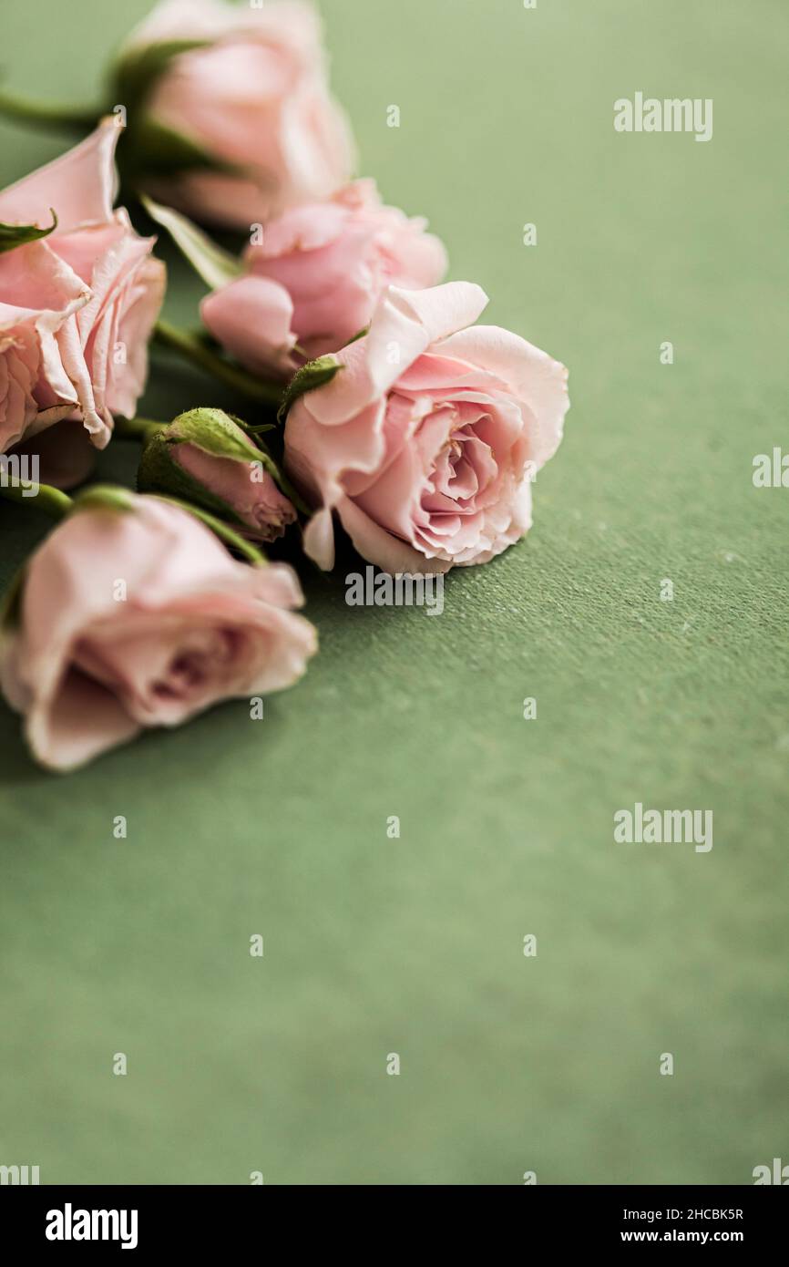 Studioaufnahme eines Verlobungsrings und eines Eherings vor rosa Hintergrund Stockfoto