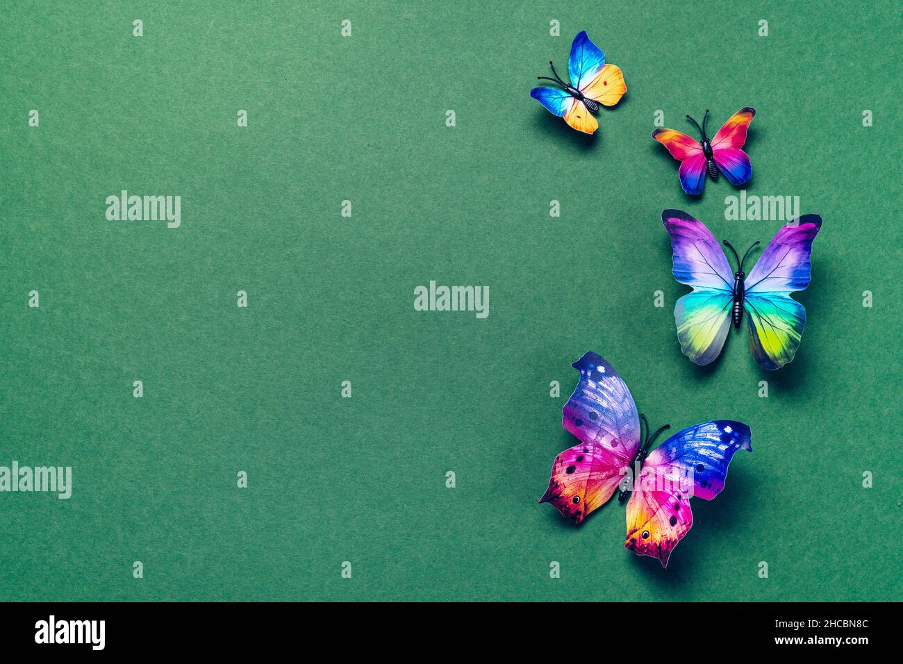 Regenbogen bunte Schmetterlinge auf grün Stockfoto