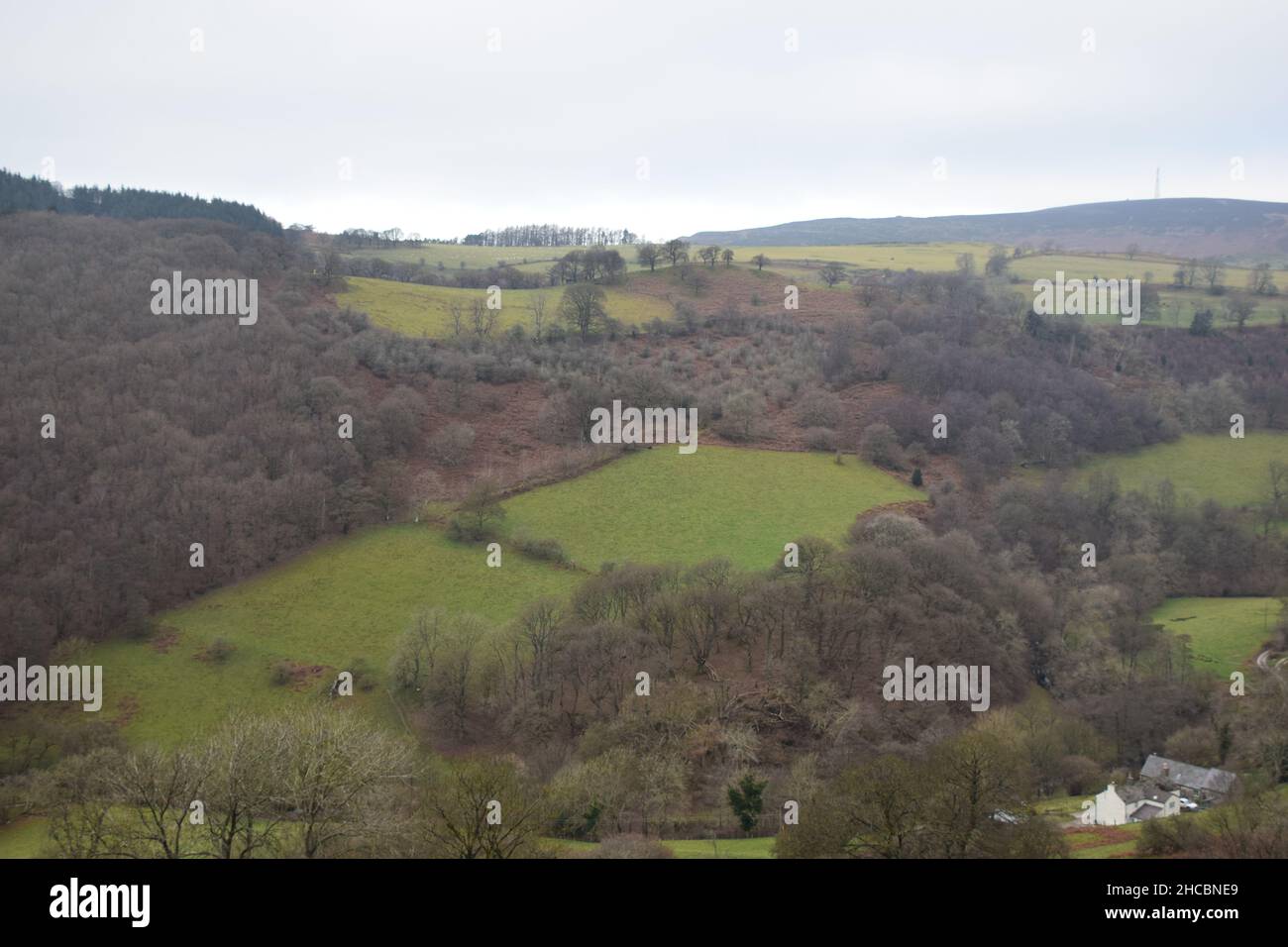 Eine Wanderung im Dezember in den Hügeln von Nord-Wales mit Blick auf die umliegende Landschaft vom Ruabon-Berg aus. Stockfoto