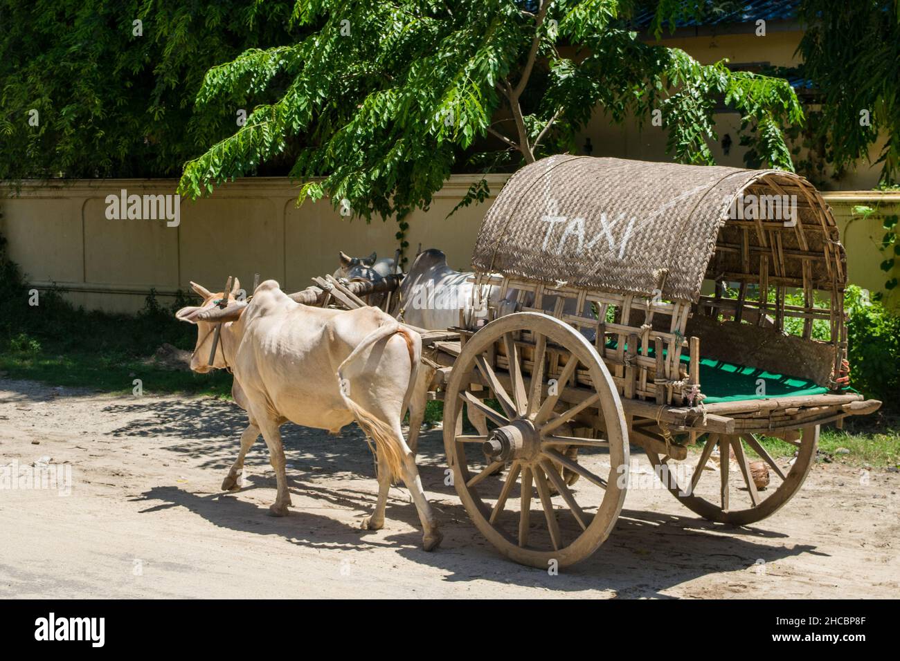 Ein primitives Taxi, bestehend aus einem Wagen, der von zwei Ochsen oder Stieren gezogen wird, das in Mingun, Myanmar, Burma, verwendet wird Stockfoto
