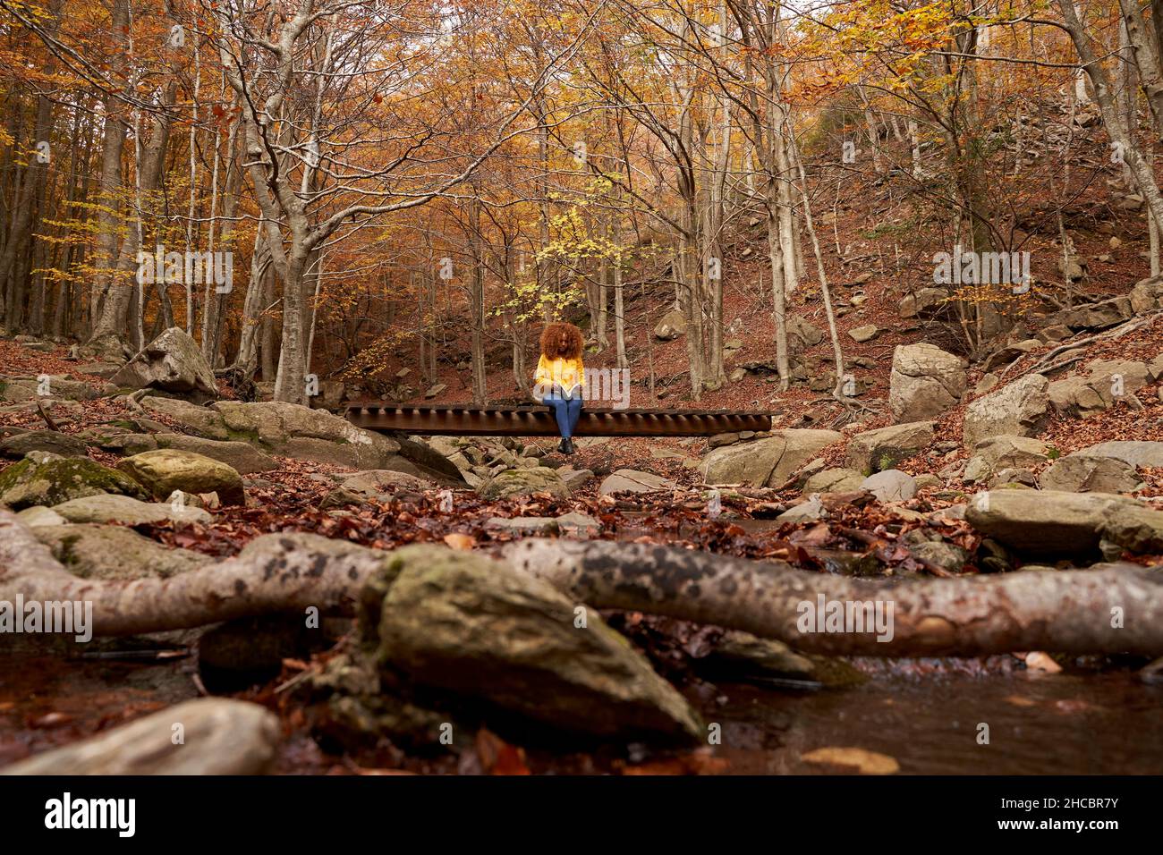 Junge Frau liest Buch im Herbstwald Stockfoto