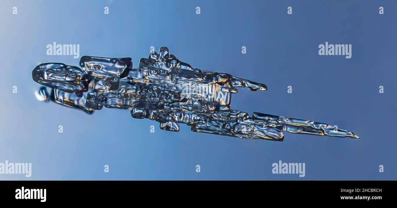 Echte Nadel Schneeflocke bei hoher Vergrößerung. Makro-Foto von kleinen umrandet Schneekristall, Schneeflocke leuchtet auf dunkelblauem Hintergrund. Stockfoto