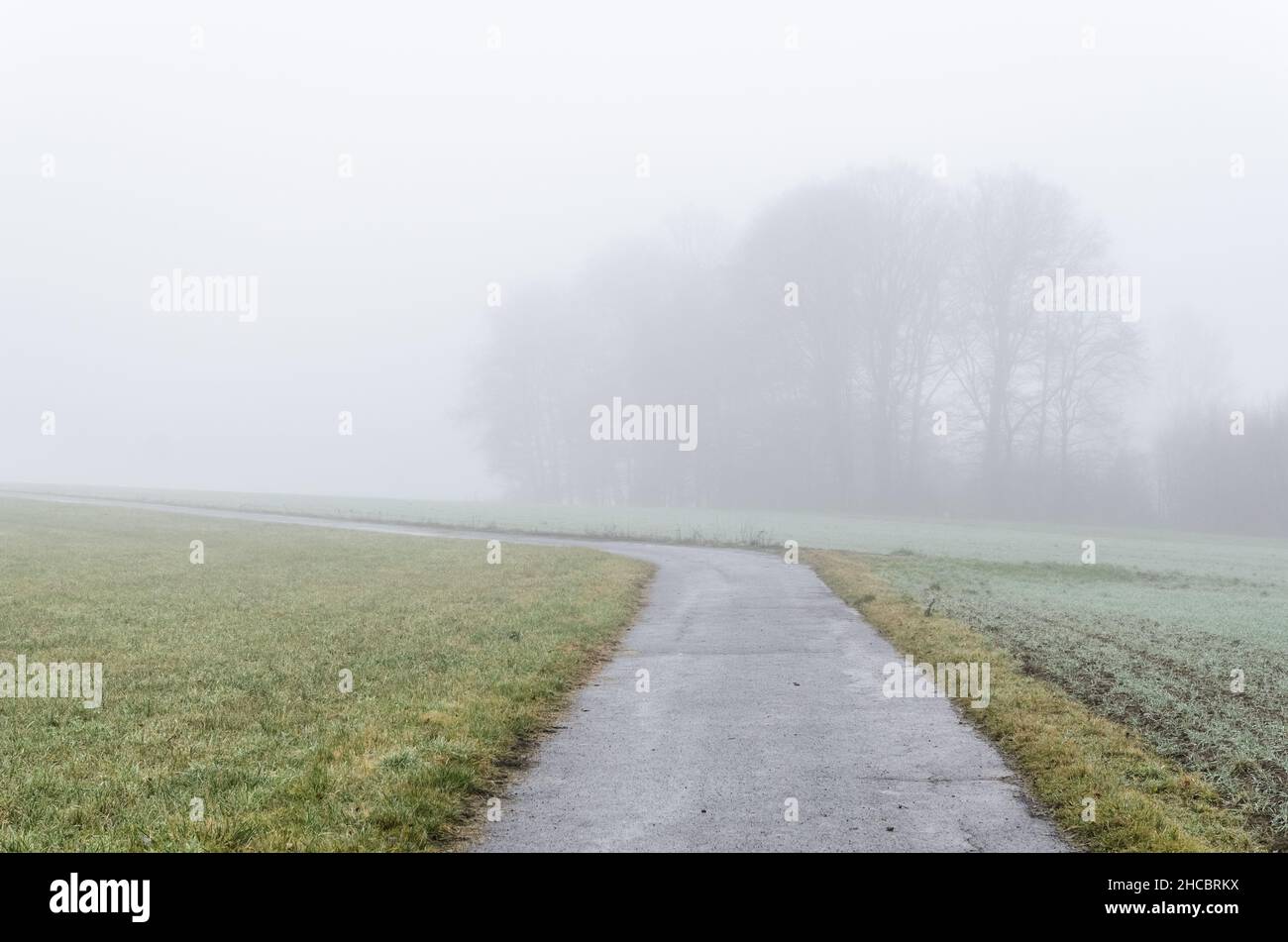 Waldszene und asphaltierte Straße mit Nebel im Winter auf dem Land in Westerwald, Rheinland-Pfalz, Deutschland, Europa Stockfoto