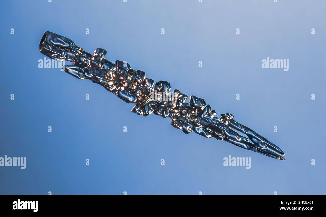 Echte Nadel Schneeflocke bei hoher Vergrößerung. Makro-Foto von kleinen umrandet Schneekristall, Schneeflocke leuchtet auf dunkelblauem Hintergrund. Stockfoto