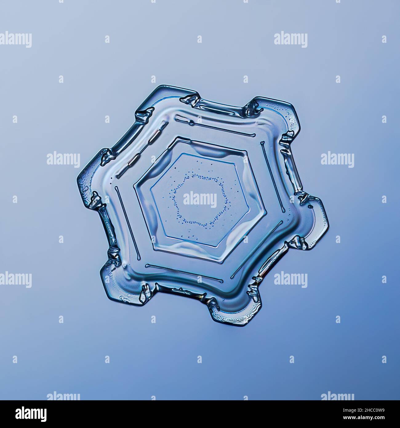 Schneeflocke auf glattem Gradienten Hintergrund grau bis blau : Makrofoto von echtem Schneekristall auf Glasoberfläche. Dies ist eine kleine Schneeflocke mit ungewöhnlichem Muster Stockfoto