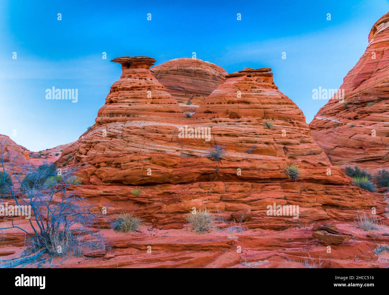 Der berühmte Coyote Butte Slope in den Paria Canyon-Vermilion Cliffs, Arizona, USA Stockfoto