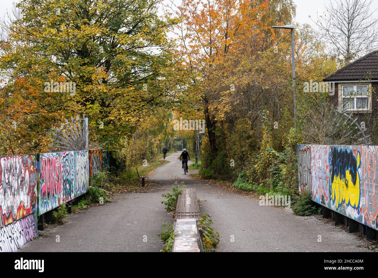 Radfahrer fahren unter Bäumen in Herbstfarben entlang des Bristol and Bath Railway Path in Easton, Bristol. Stockfoto