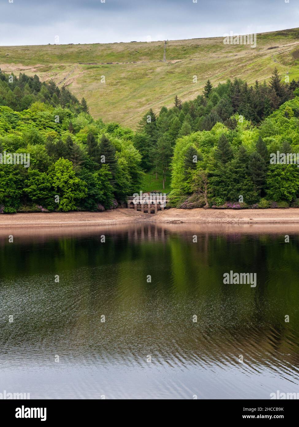 Waldwälder erheben sich auf den Hügeln der Moorlandschaft oberhalb des Derwent Reservoir im Peak District von Derbyshire. Stockfoto