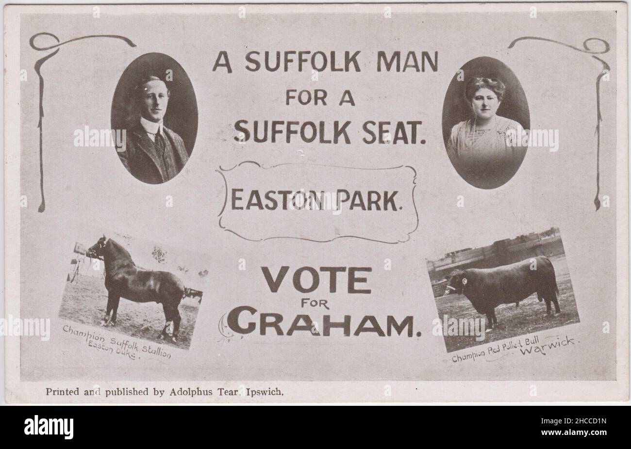 „Ein Suffolk-Mann für einen Suffolk-Sitz. Easton Park. Stimmen Sie für Graham': Postkarte zur Parlamentswahl. James Graham, 6. Herzog von Montrose, stand 1906 und 1910 als Kandidat der Konservativen Partei für Eye, Suffolk, aber verlor an den Kandidaten der Liberalen Partei. Die Postkarte enthält Fotos von Graham, seiner Frau Lady Mary Douglas-Hamilton, einem Champion Suffolk Hengst und einem Champion Red Polled Bull. Die Postkarte wurde von Adolphus Tear, Ipswich, herausgegeben Stockfoto