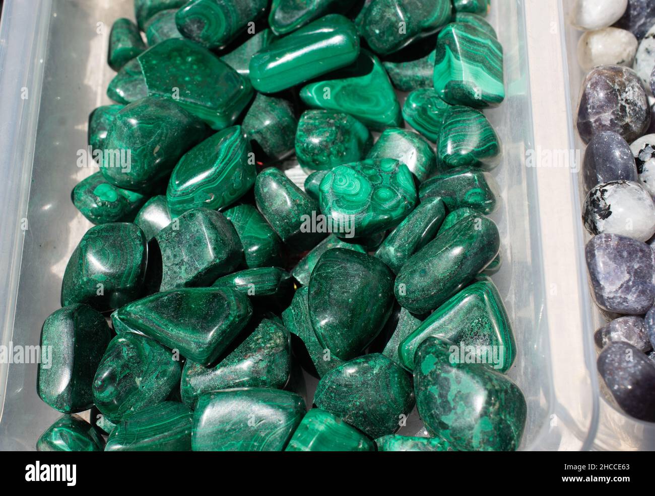 Kunststoffbehälter gefüllt mit vielen grünen Malachit-Edelsteinen Stockfoto