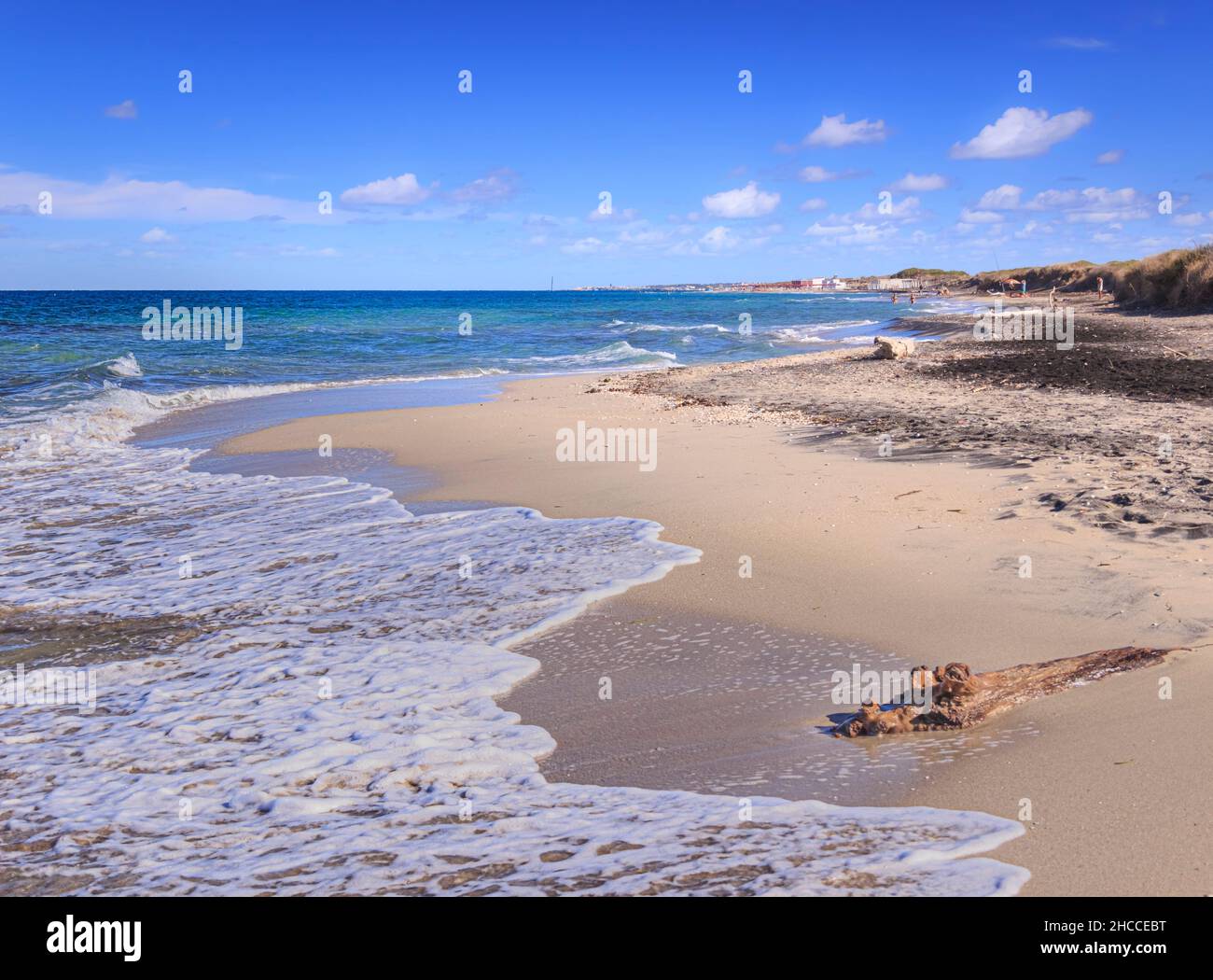 Sommerzeit.die schönsten Sandstrände Apuliens: Naturschutzgebiet Le Cesine. Es ist ein Feuchtgebiet von internationaler Bedeutung. Stockfoto