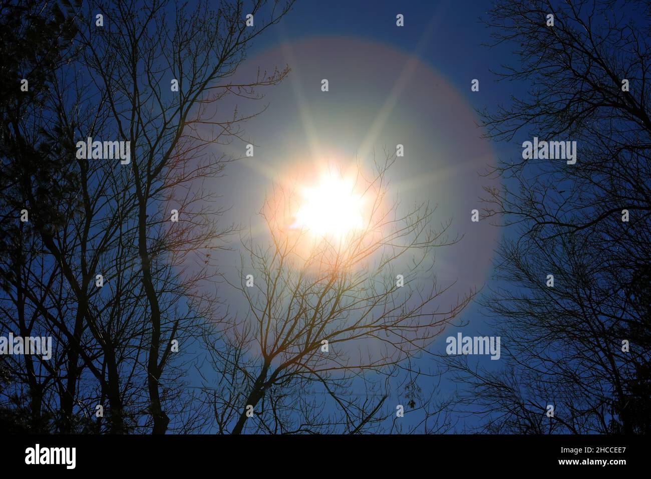 Sunburst Stockfoto