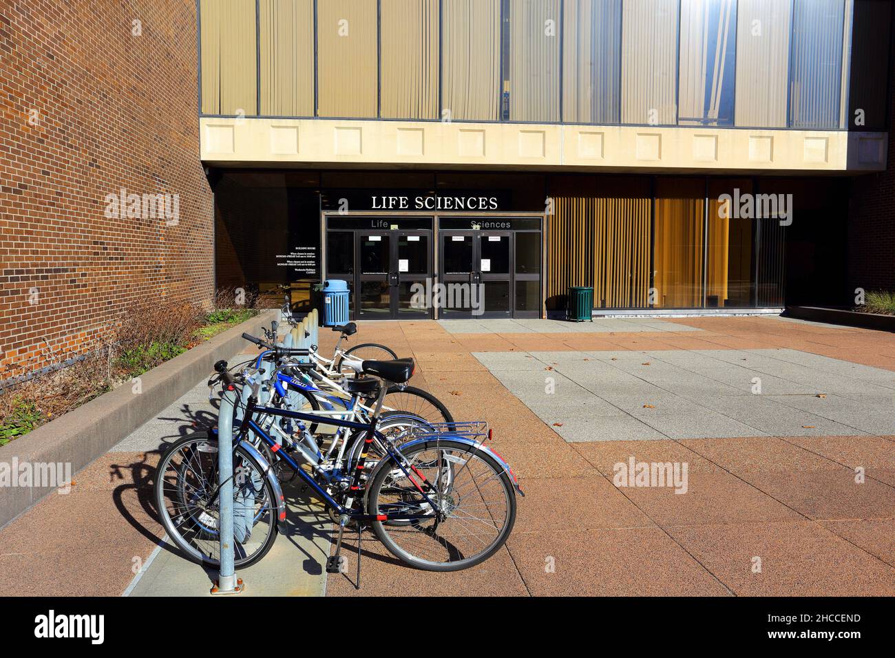 Campus der Stony Brook University Long Island New York Stockfoto