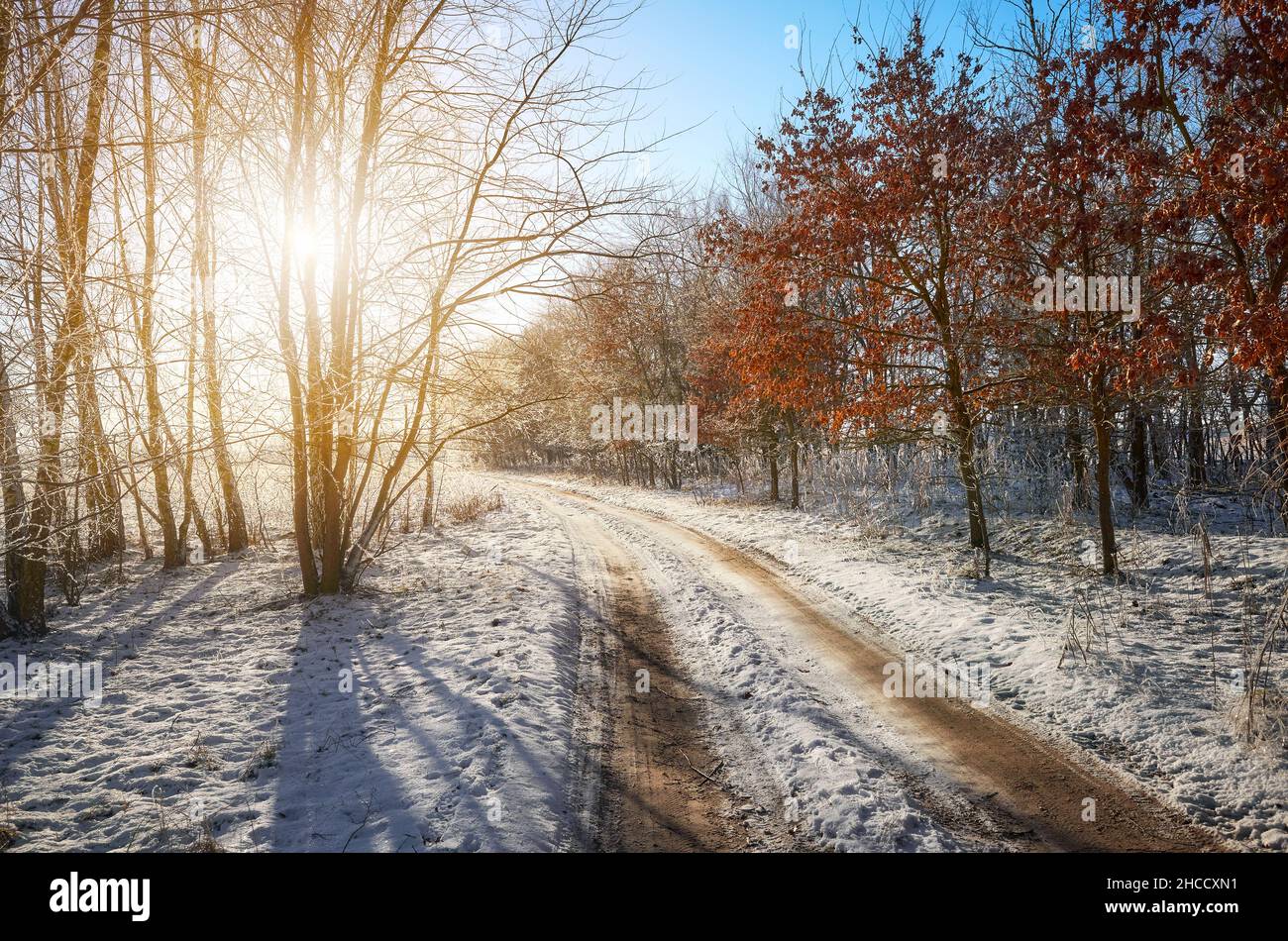 Schöne Winterlandschaft mit Landstraße gegen die Sonne. Stockfoto