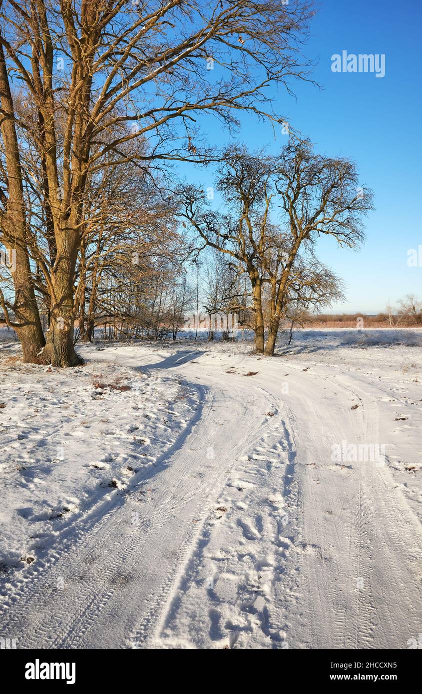 Schöne Winter ländliche Landschaft mit Landstraße mit Schnee bedeckt an einem sonnigen Tag. Stockfoto