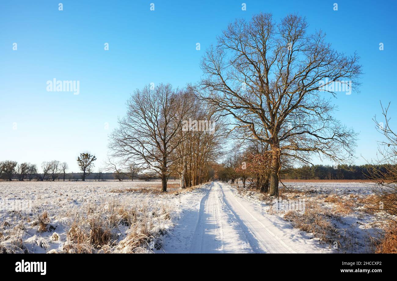 Schöne Winter ländliche Landschaft mit Landstraße mit Schnee bedeckt an einem sonnigen Tag. Stockfoto