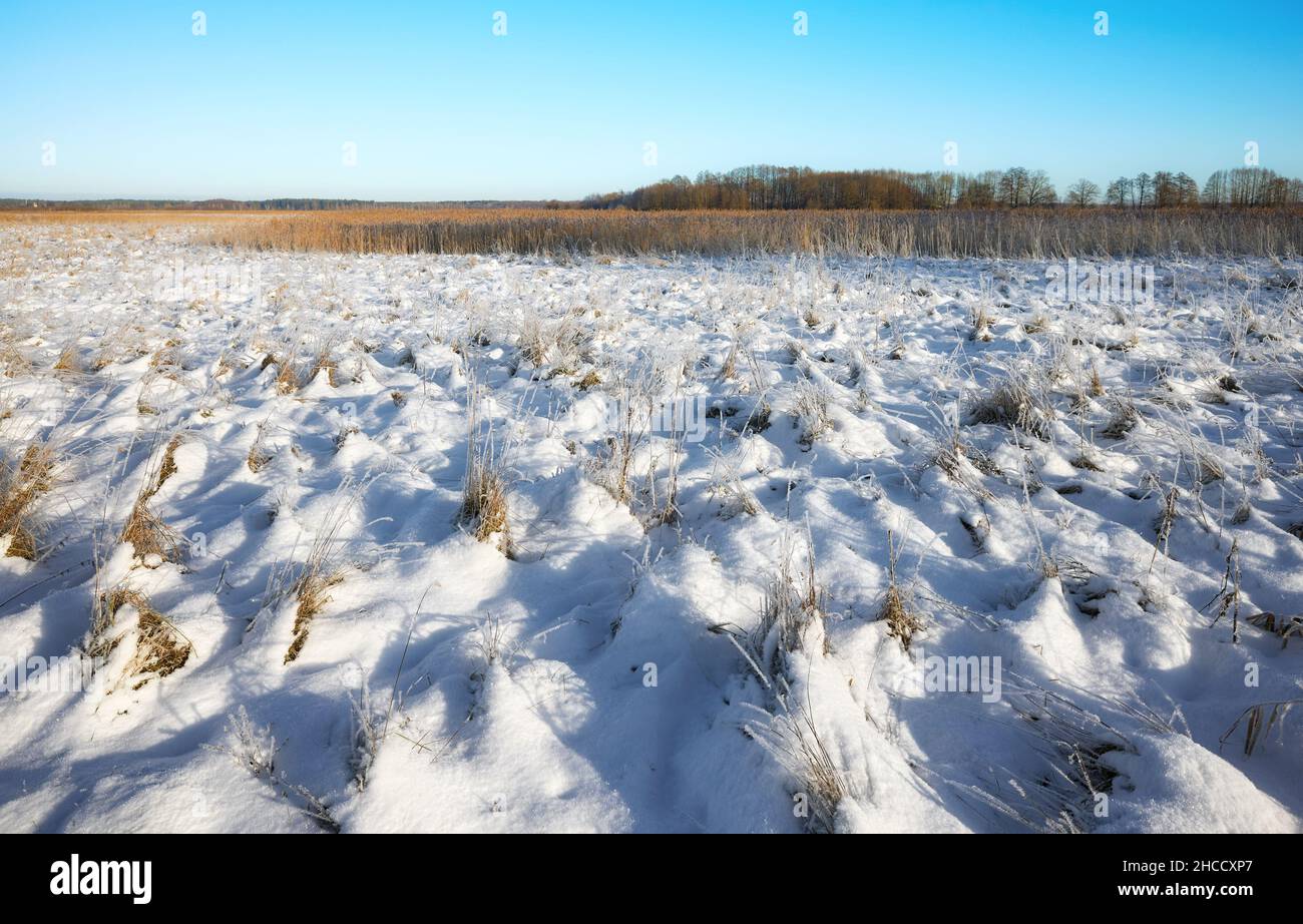 Mit Schnee bedeckte Wiese, Winterlandschaft. Stockfoto