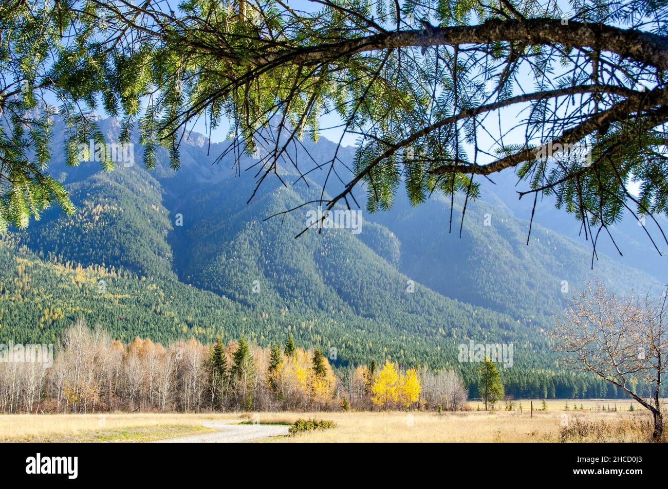 Wunderschöne Aufnahme des Banff National Park in Alberta, Kanada Stockfoto