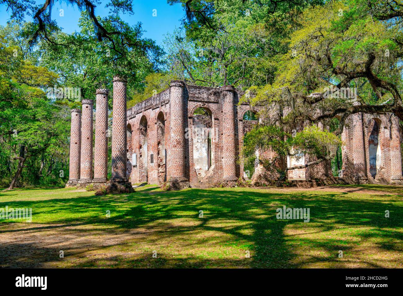 Old Sheldon Church Ruins, South Carolina Stockfoto