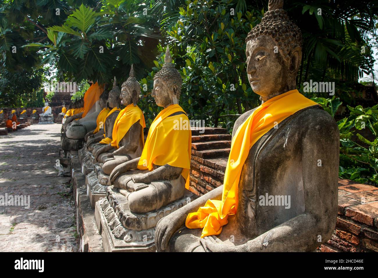 Sitzende Buddha-Statuen im Wat Yai Chaimongkol in Ayutthaya, der historischen Hauptstadt des Königreichs Siam, Thailand, aus dem 13. Jahrhundert Stockfoto