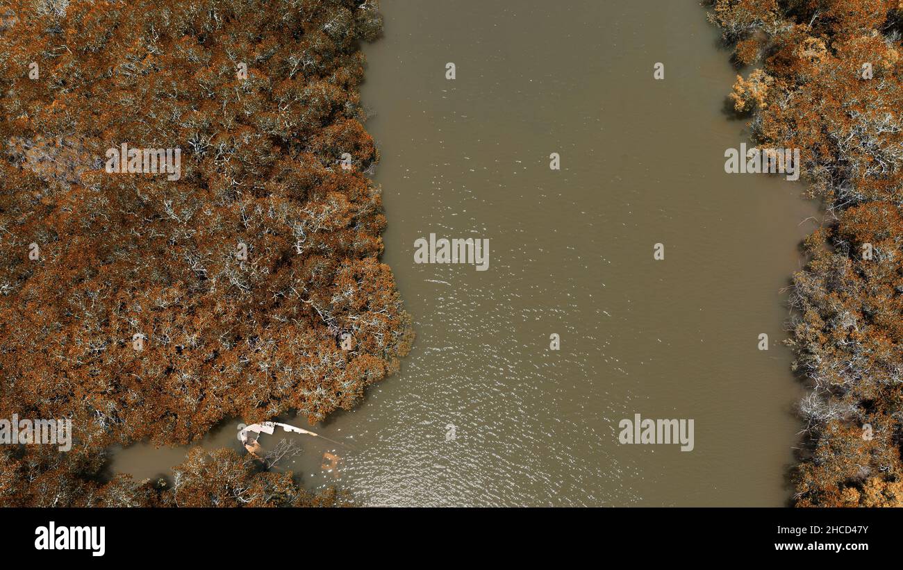 Ein altes, zerfallenes Boot, das in einem Flutbach in Küstenvegetation zerstört wurde Stockfoto