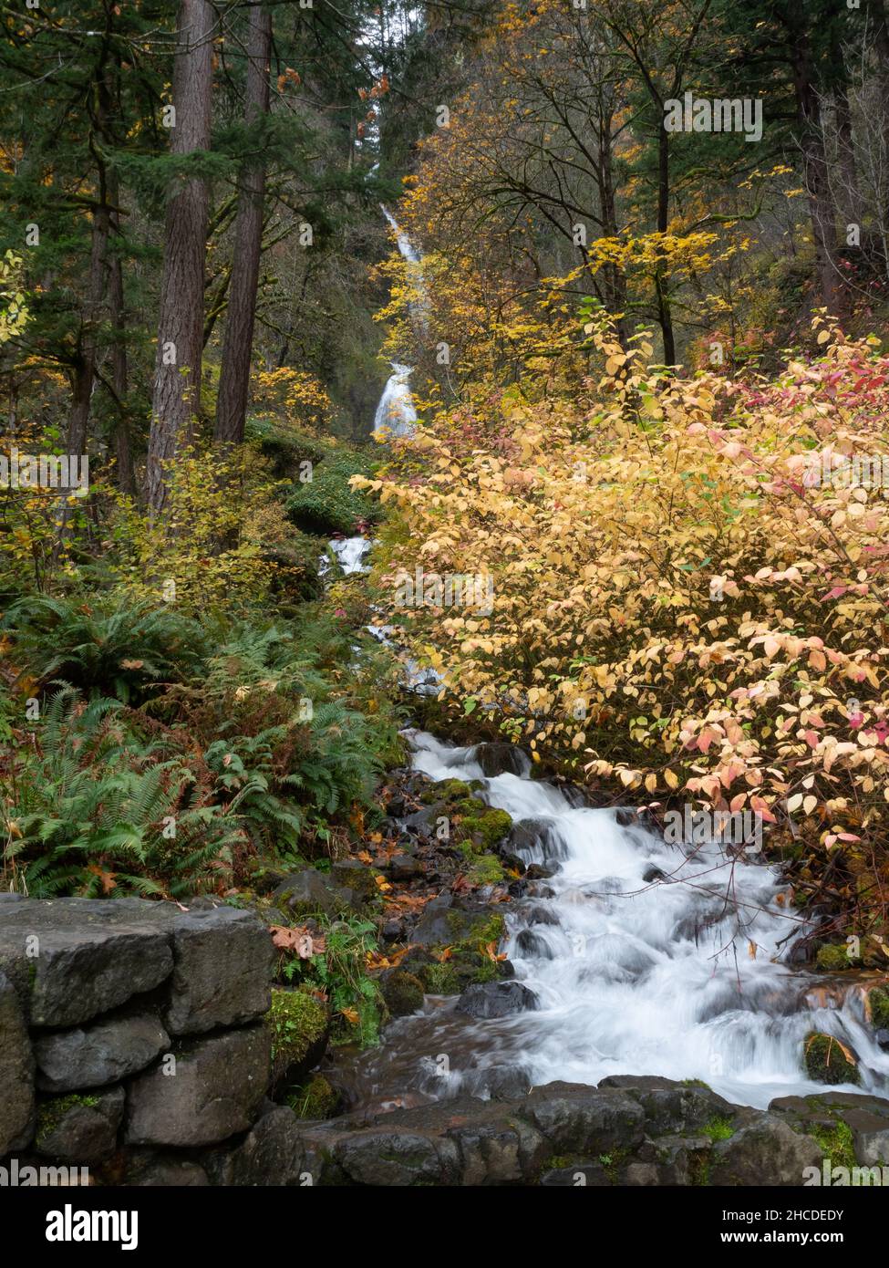 Wahkeena Falls in der Columbia River Gorge National Scenic Area im Herbst fotografiert. Stockfoto